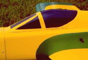 Canopy area close-up - Dwire photo