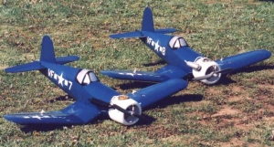 Chris Gator Shepherd's Pica Corsairs stand ready or Combat - photo by Shepherd