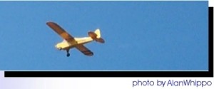Jeff Whippo's Cub photographed in April 2000